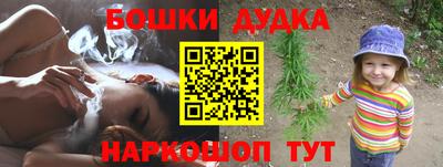 прущие грибы Комсомольск-на-Амуре