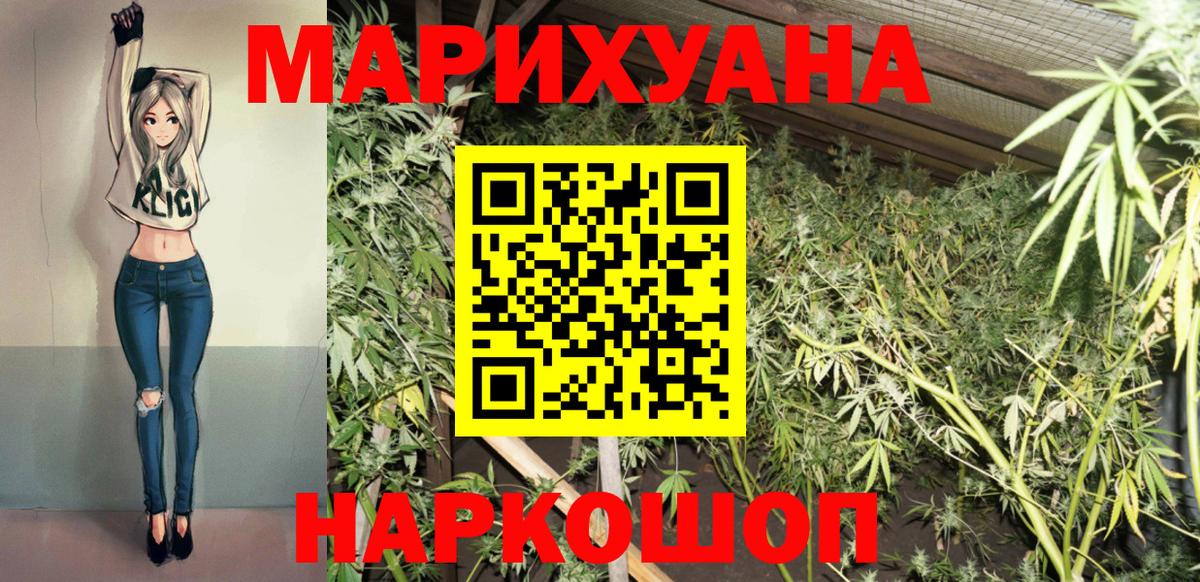 Каннабис планчик Королёв